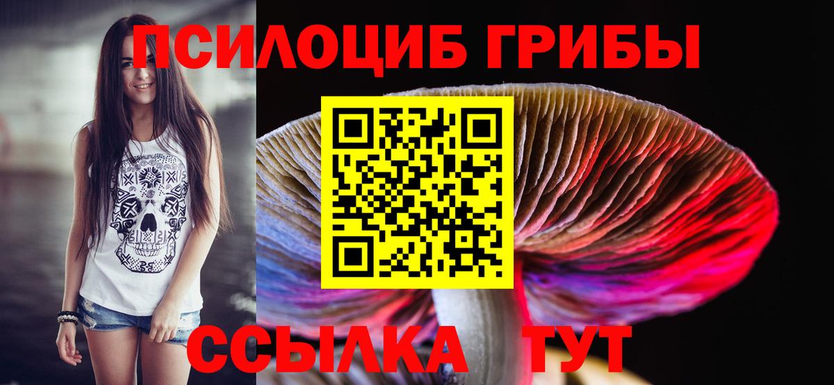 Стрежевой  Псилоцибиновые грибы GOLDEN TEACHER  Вход с VPN 